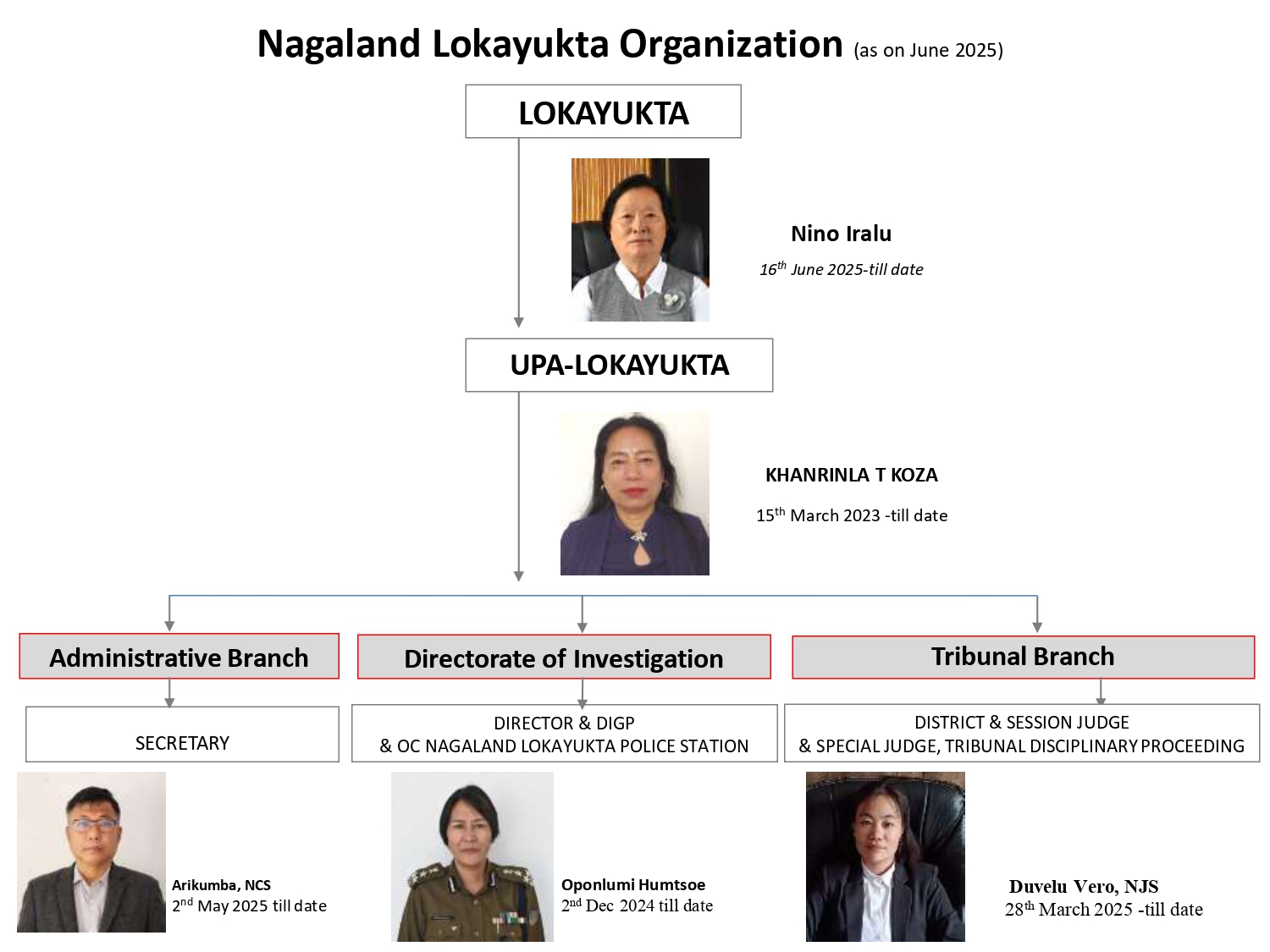 Organizational Structure