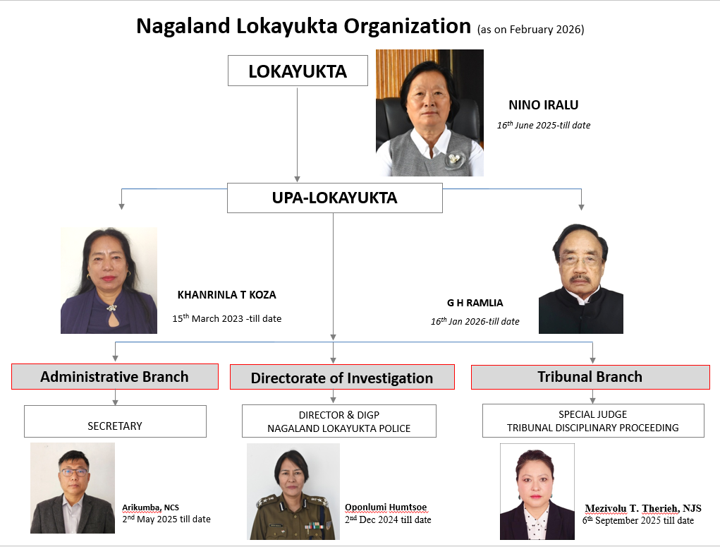 Organizational Structure
