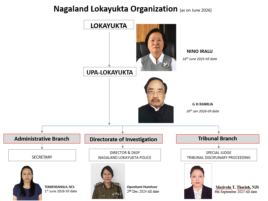 Organizational Structure